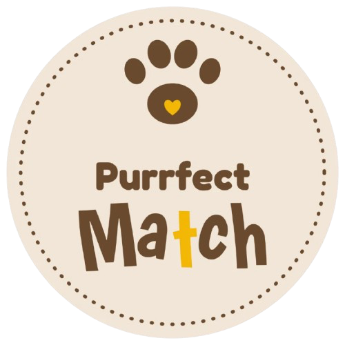 Purrfect Match